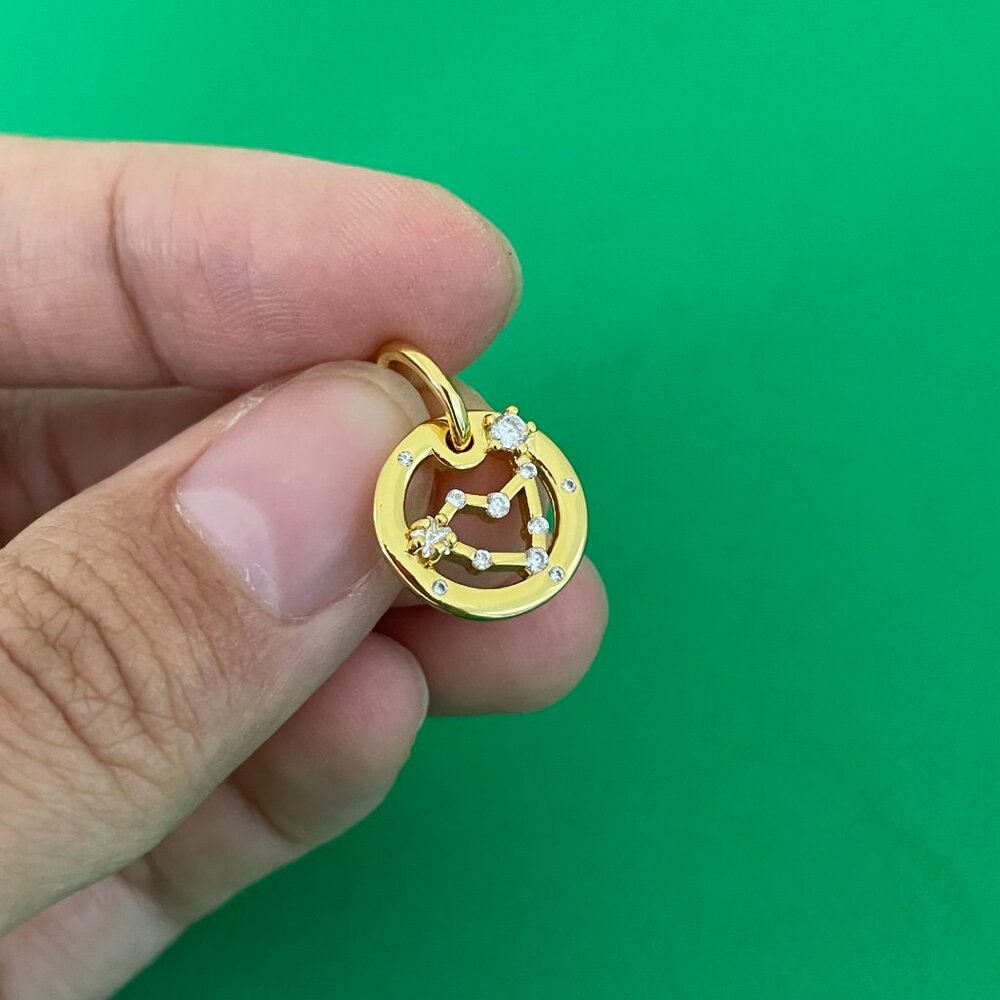 Pandora Capricorn Zodiac Dangle Charm